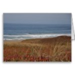 point_reyes_waves_greeting_card-ra992fcc342df4f09a5fa4096da2e6383_xvuak_8byvr_152